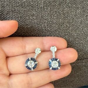 Silver Earrings (925).